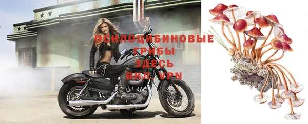 бутират Нягань