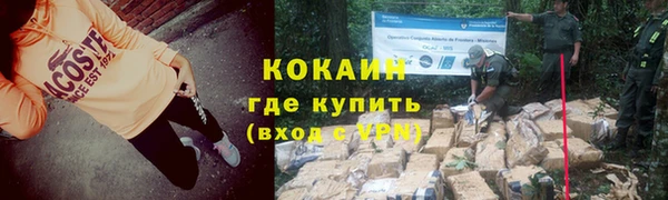 сатива Нижний Тагил