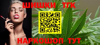амф Камышлов