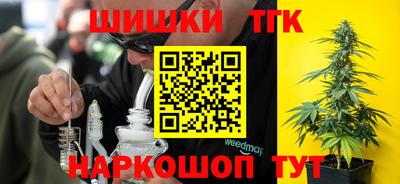 амф Камышлов
