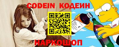 амф Камышлов