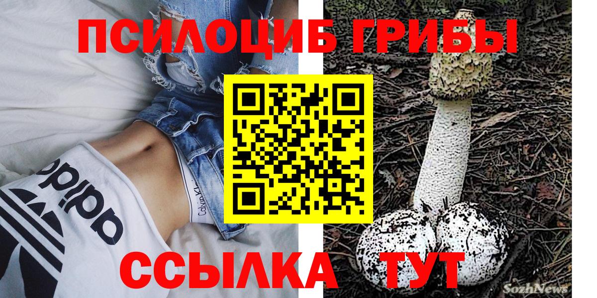 Галлюциногенные грибы мицелий Краснознаменск