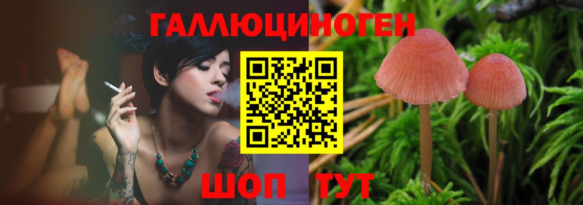 Галлюциногенные грибы мицелий  Краснознаменск 